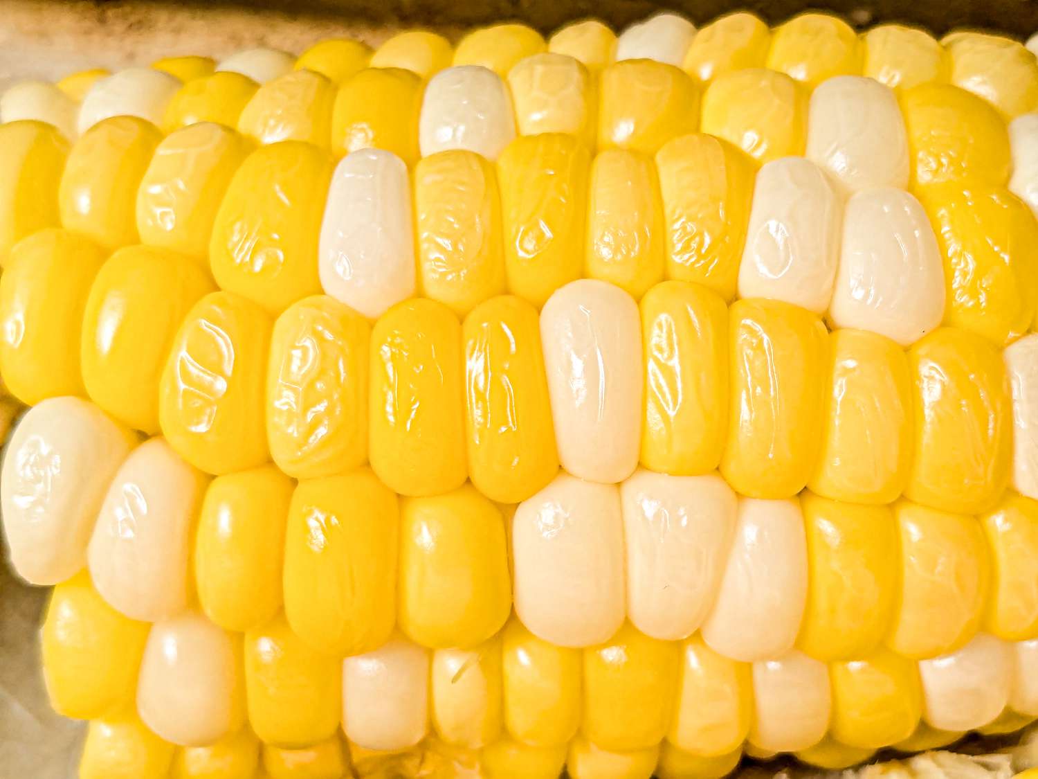 Close up of corn