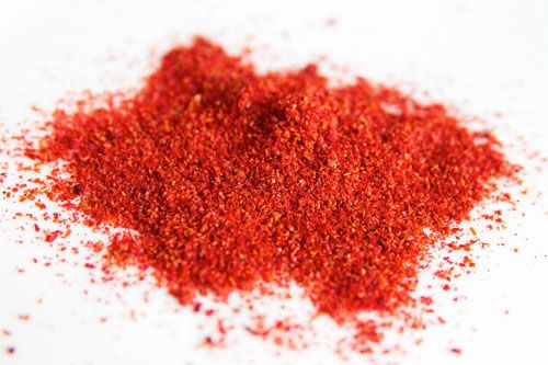 20101208-spice-hunting-sumac.jpg