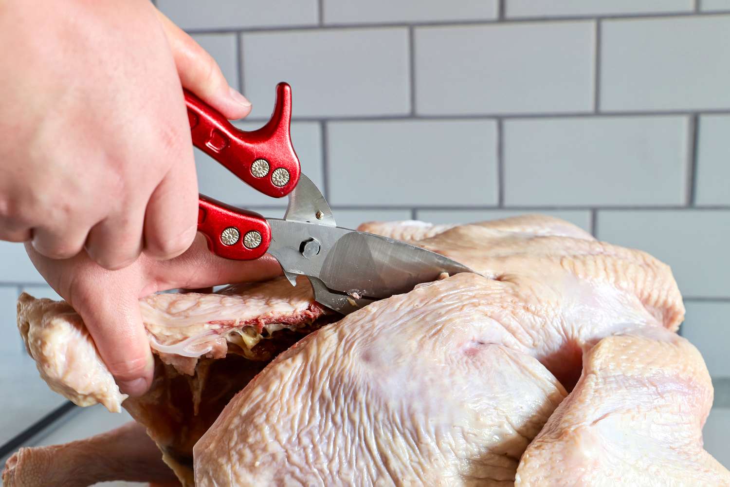 A person using Dragon Riot poultry shears to cut through the backbone of a raw turkey