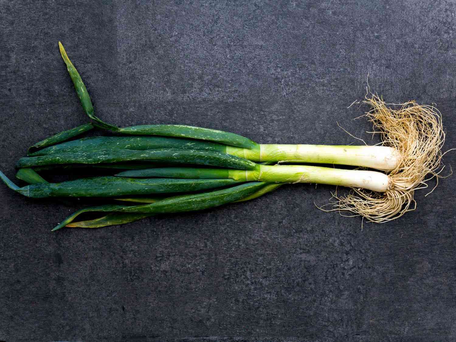 Two whole daepa, or Welsh onions, greens and roots still attached.
