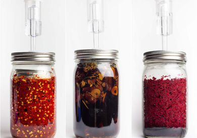 Three jars of fermenting hot sauces with airlocks in the top.