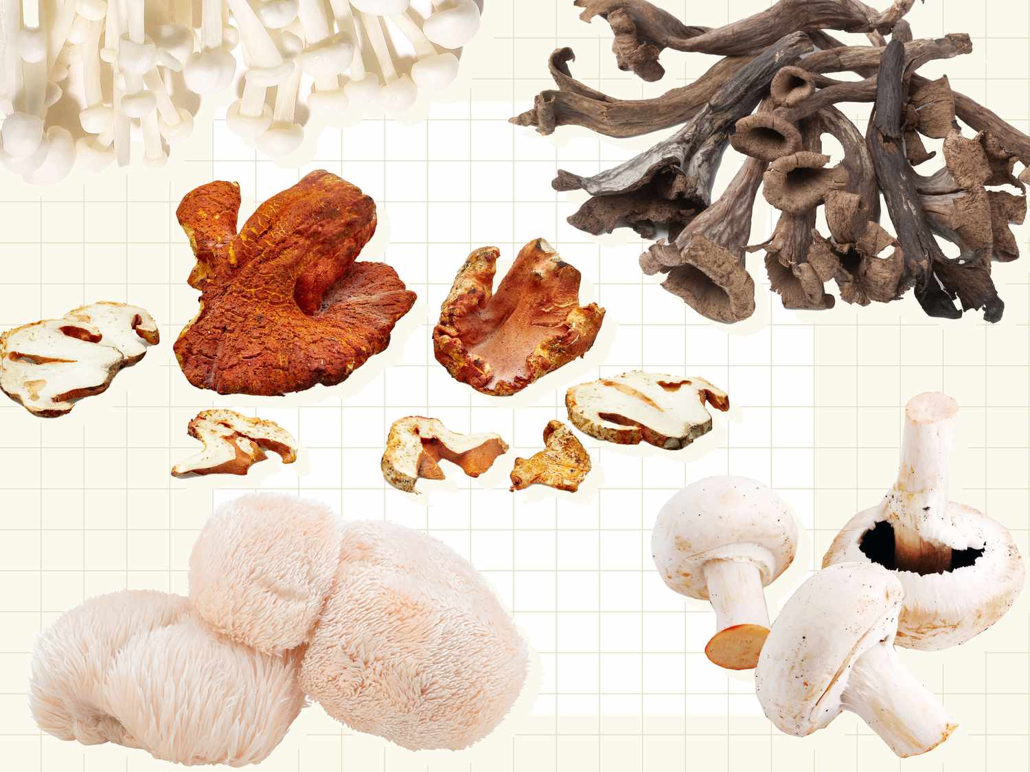 Collage of mushrooms