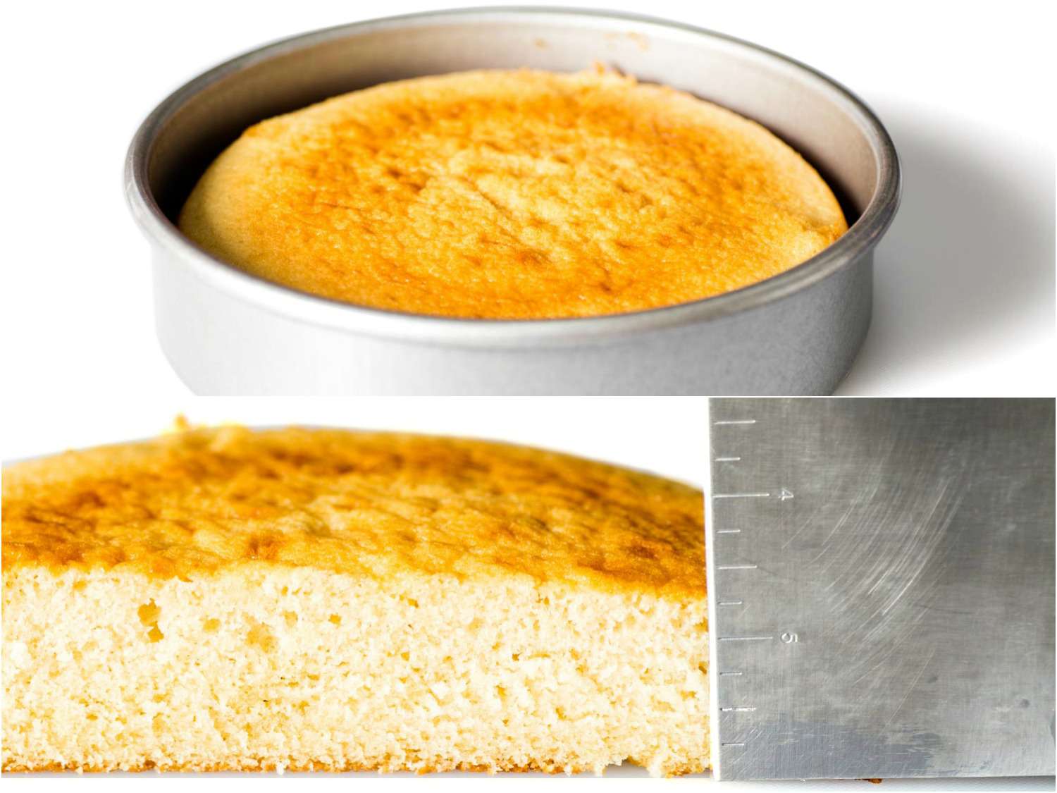 Montage of vanilla cake baked in a cake plan, plus a close-up shot of the cross-section of the cake, and a ruler showing the thickness. 
