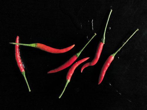 Six chile peppers on a black background.