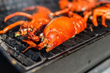 20130704-258272-grilled-lobster.jpg