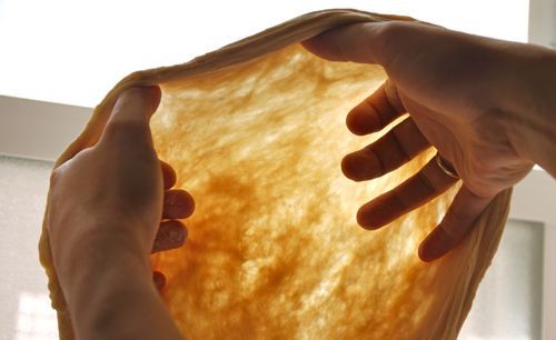 20110602-pizza-lab-flour-type - 04.jpg