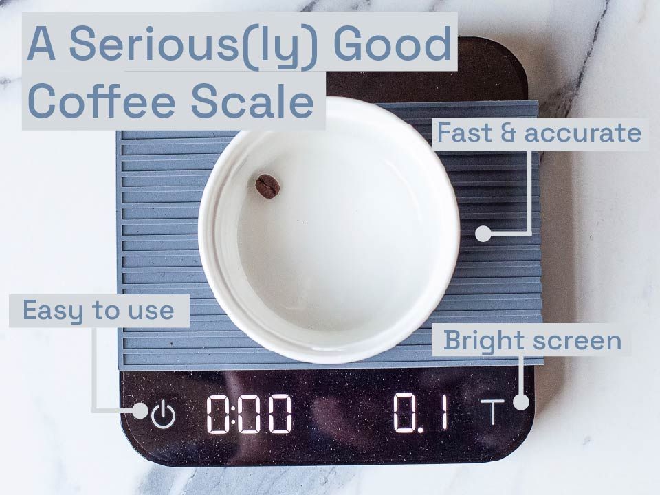 a coffee scale with a ramekin and a single coffee bean inside