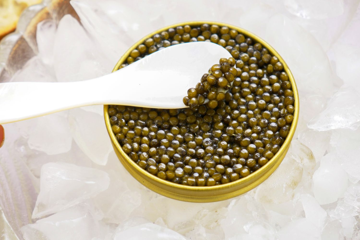 A tin of caviar on ice with a spoon lifting some out