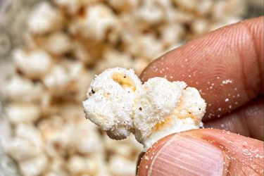 Hand holding a salted popcorn kernel with more popcorn in the background