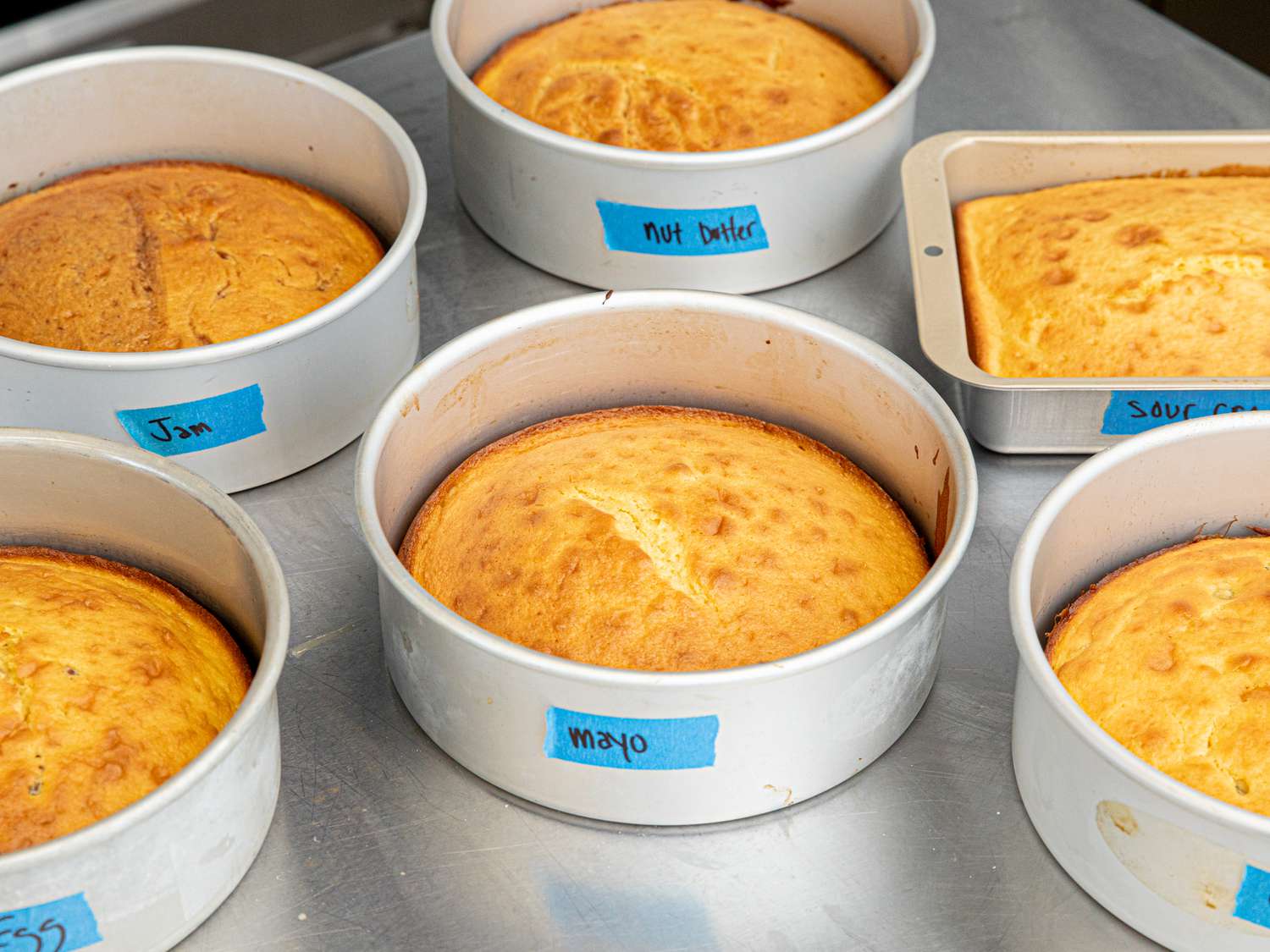 Overhead view of various cake batter additions tested