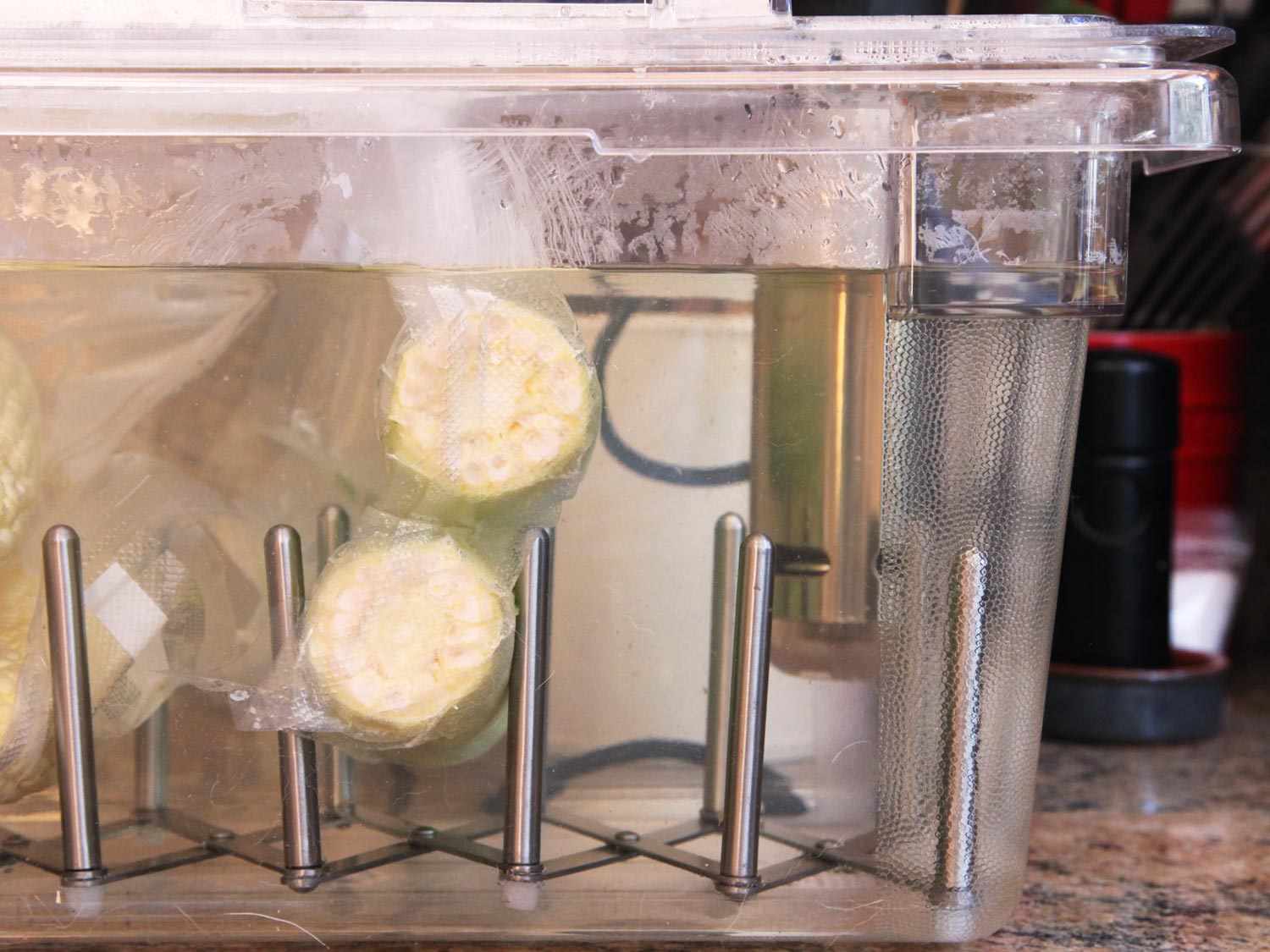 Vacuum-sealed bags of trimmed ears of corn submerged in sous vide cooker