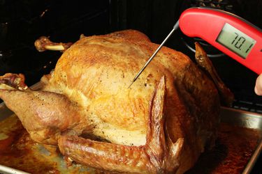 Taking the temperature of a turkey with a Thermapen instant-read thermometer