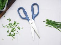 a pair of kitchen shears with chopped chives