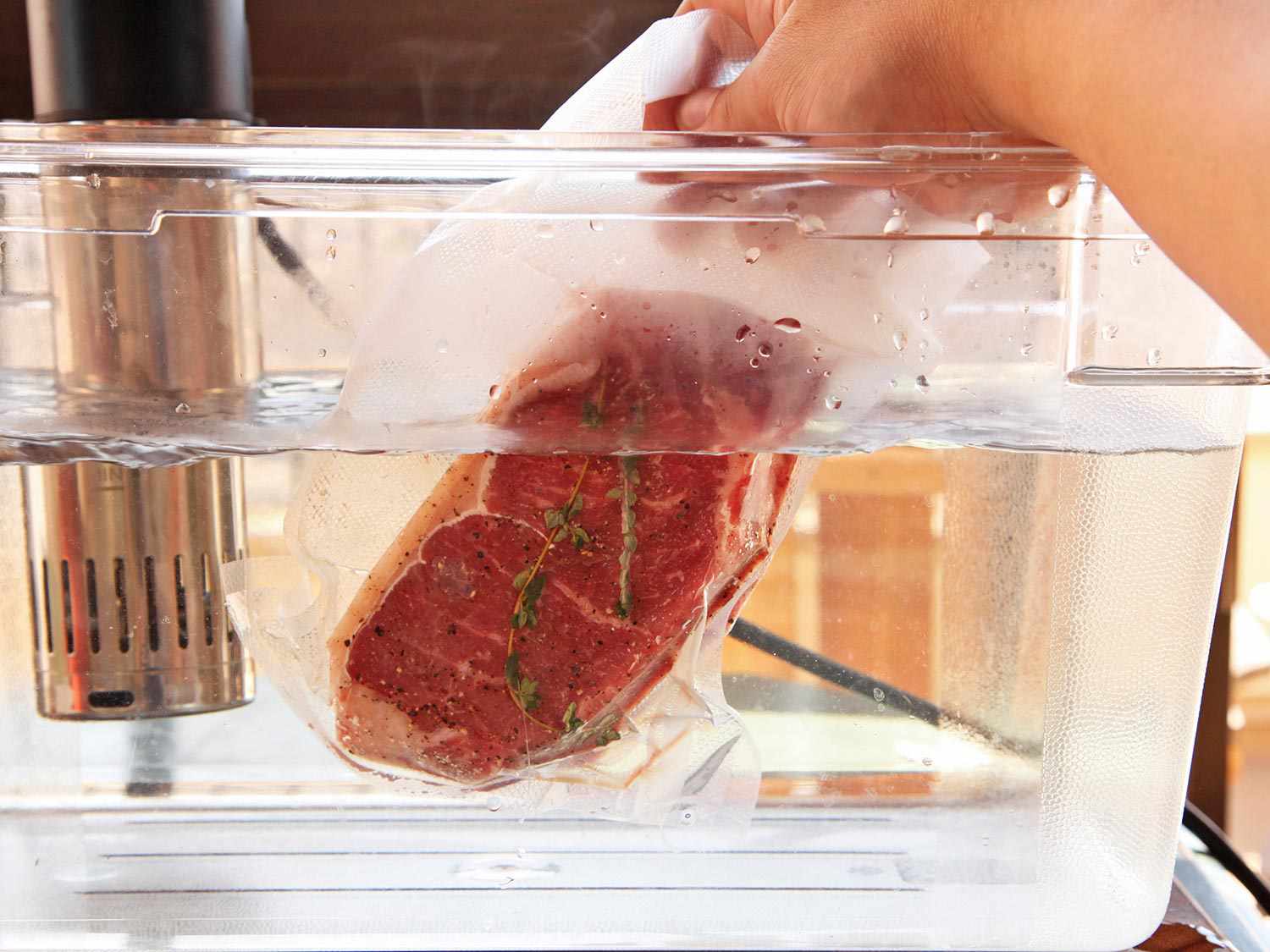 Steak in a sous vide bag being placed in a bucket of water with a sous vide cooker attached.