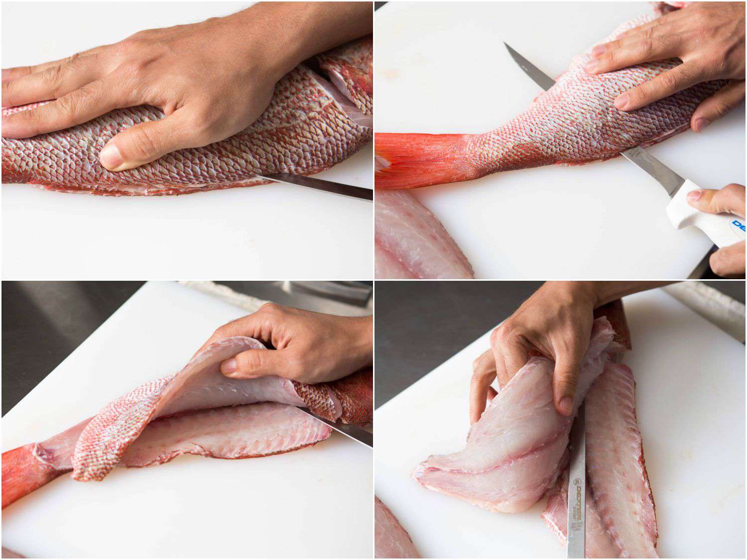 20150922-how-to-fillet-fish-second-side.jpg