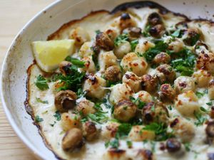 20120522-fiaf-scallops-mornay-primary.jpg