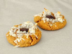 20120109-cookiemonster-peanutbuttercoconutcookies.JPG
