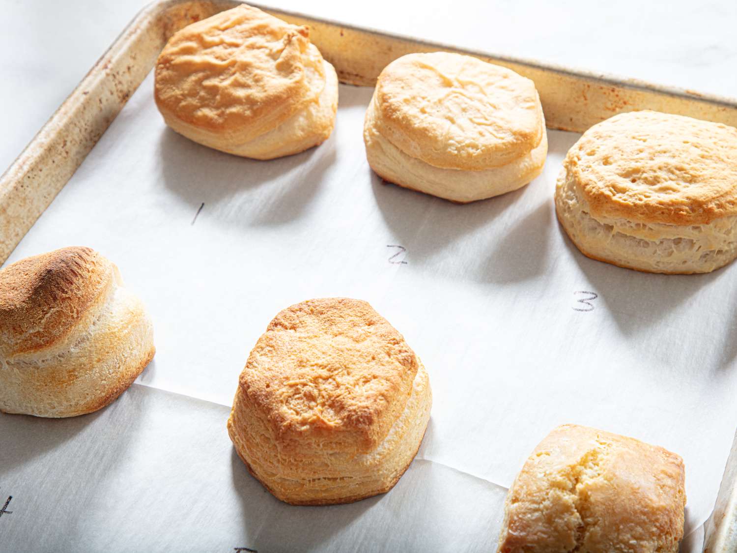 Six baked biscuits arranged on a parchmentlined baking sheet labeled with numbers