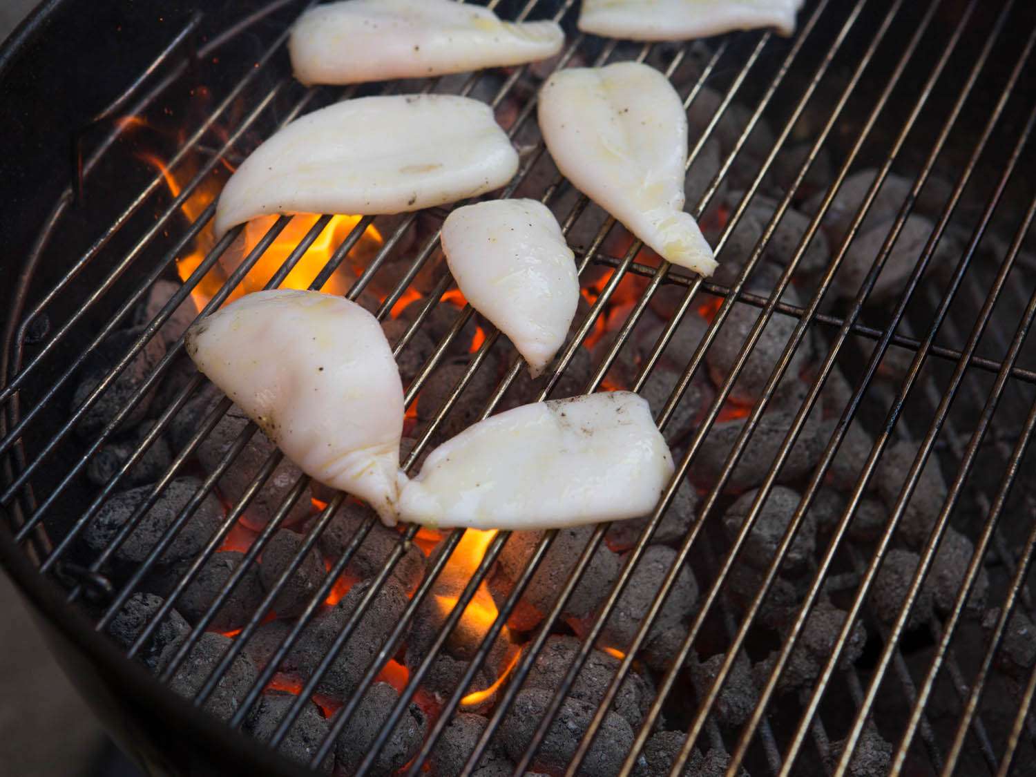Squid bodies arrayed above hot coals on a grill grate.