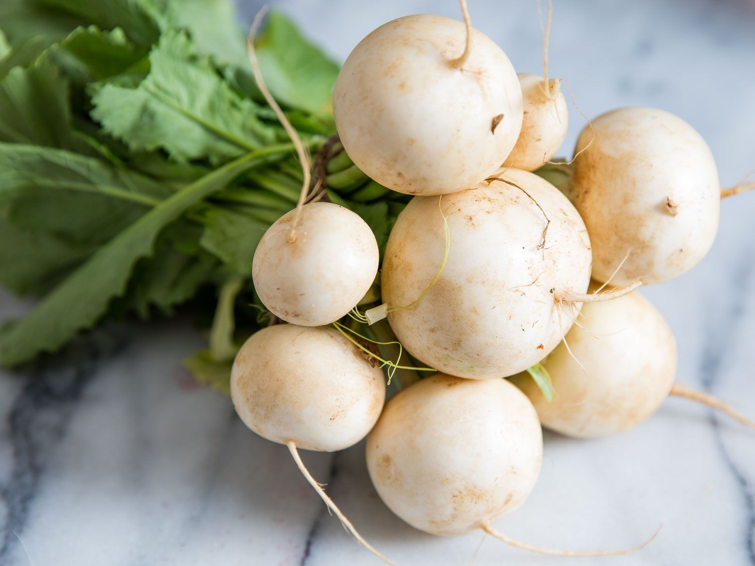 A bunch of Hakurei (Japanese) turnips with leaves. 