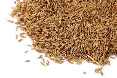 201000505-cumin-primary.jpg