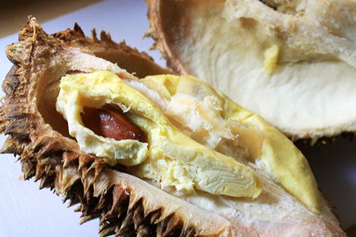 20101022-durian-open.jpg
