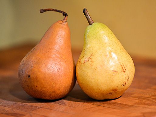Two ripe pears