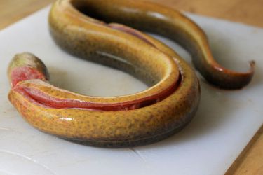 20110503-roasted-eel-primary.jpg