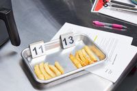 Cooked air fryer French fries on display for testing.