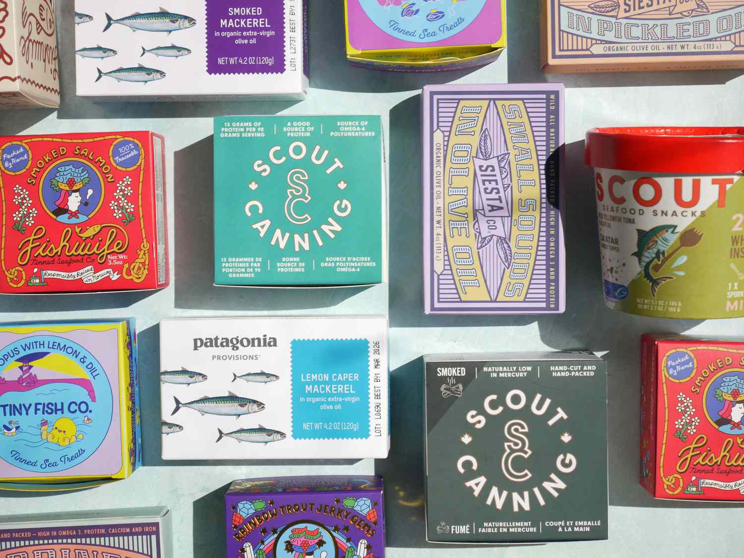 a variety of tinned fish on a pale, sea foam green background 