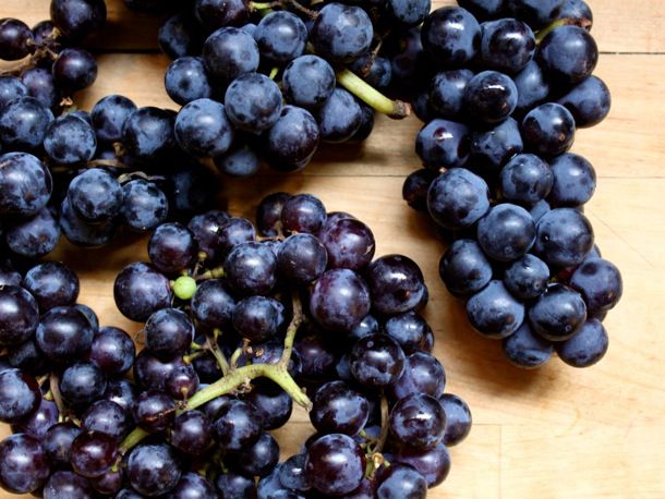 Several bunches of grapes.