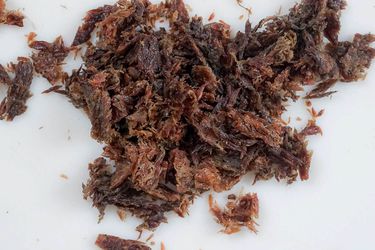 20201029-machaca-jillian-atkinson-5