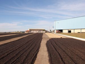SE-060214-coffee-brazil-patio-drying-1.jpg