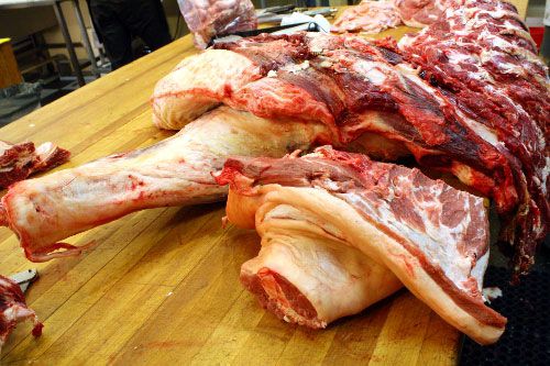 A comparison of a beef brisket and pork brisket: pork brisket is smaller, but has the same structure.