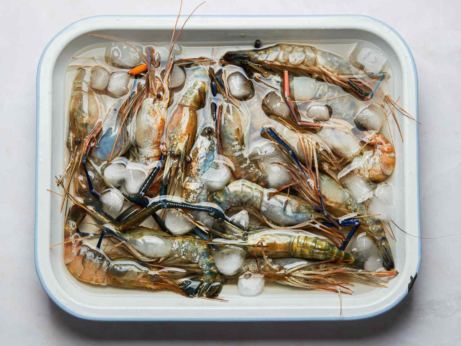 Tray of fresh prawns on ice