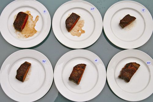 Cooked steak pieces on individual plates showing juice loss as a consequence of resting, with more juice lost in the samples that were cut into sooner and less for the ones that rested longer.