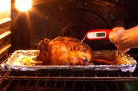 A person using a Lavatools thermometer to take the temperature of a roast chicken.