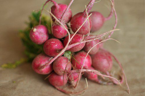 2011102-173352-radish-bundle.jpg