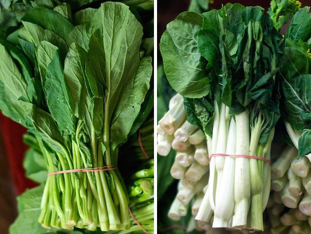 A split image with Yu Choy on one side and choy sum on the other