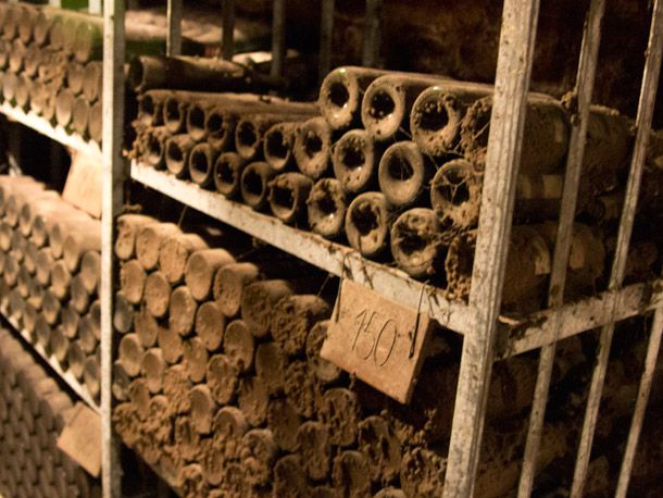 Old Bottles in the Schloss Gobelsburg Cellar