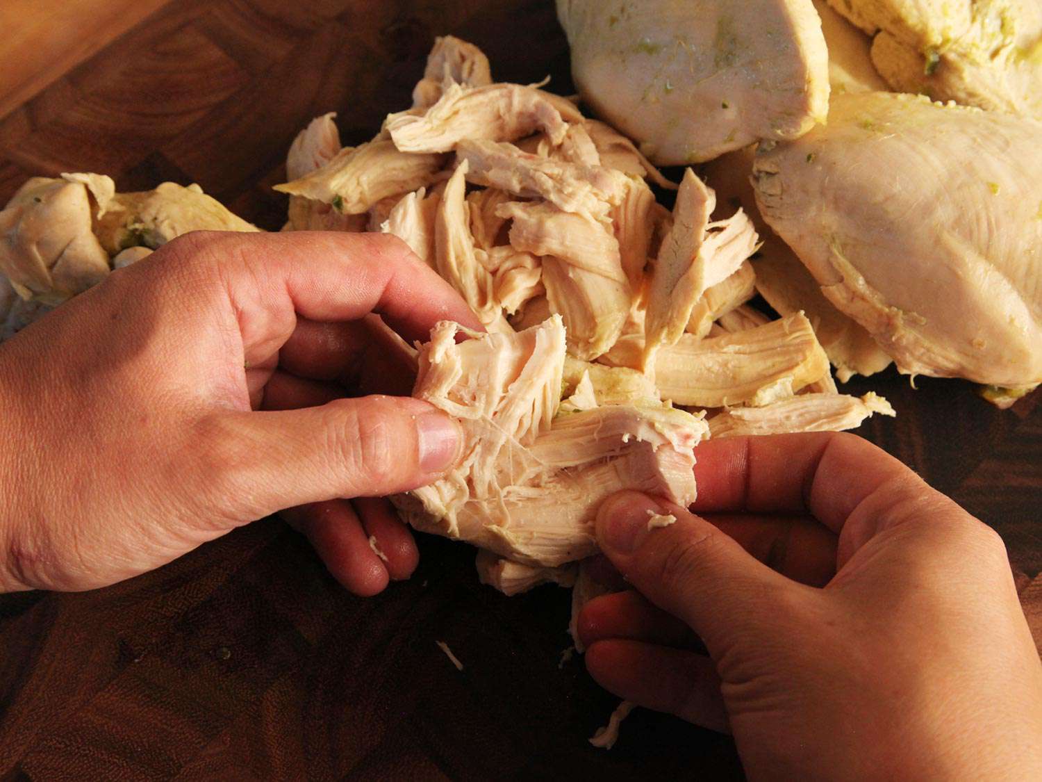 Shredding cooked chicken breast by hand.