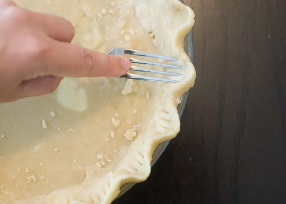 Crimped and scalloped