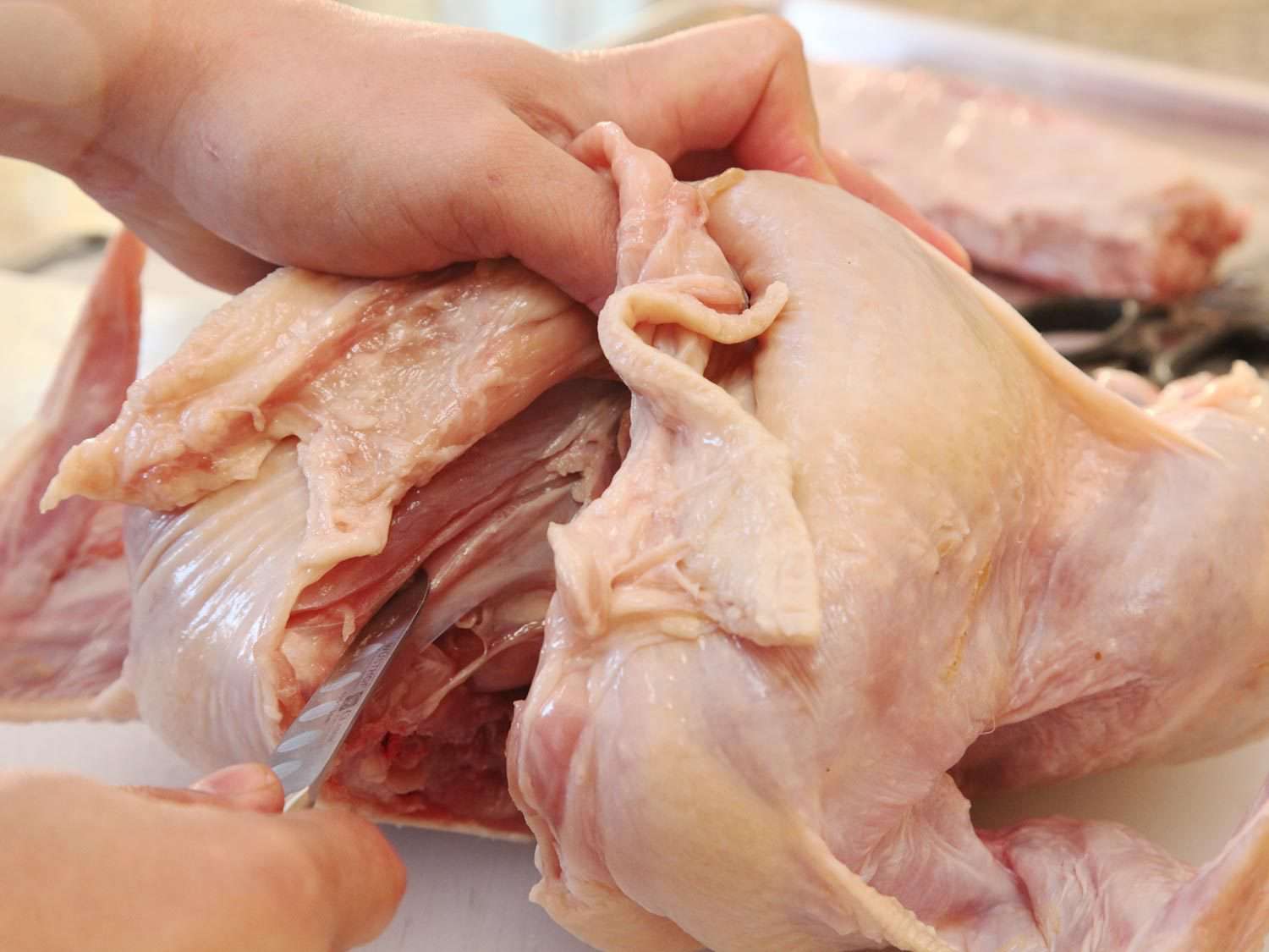Cutting down the length of a turkey's wishbone.