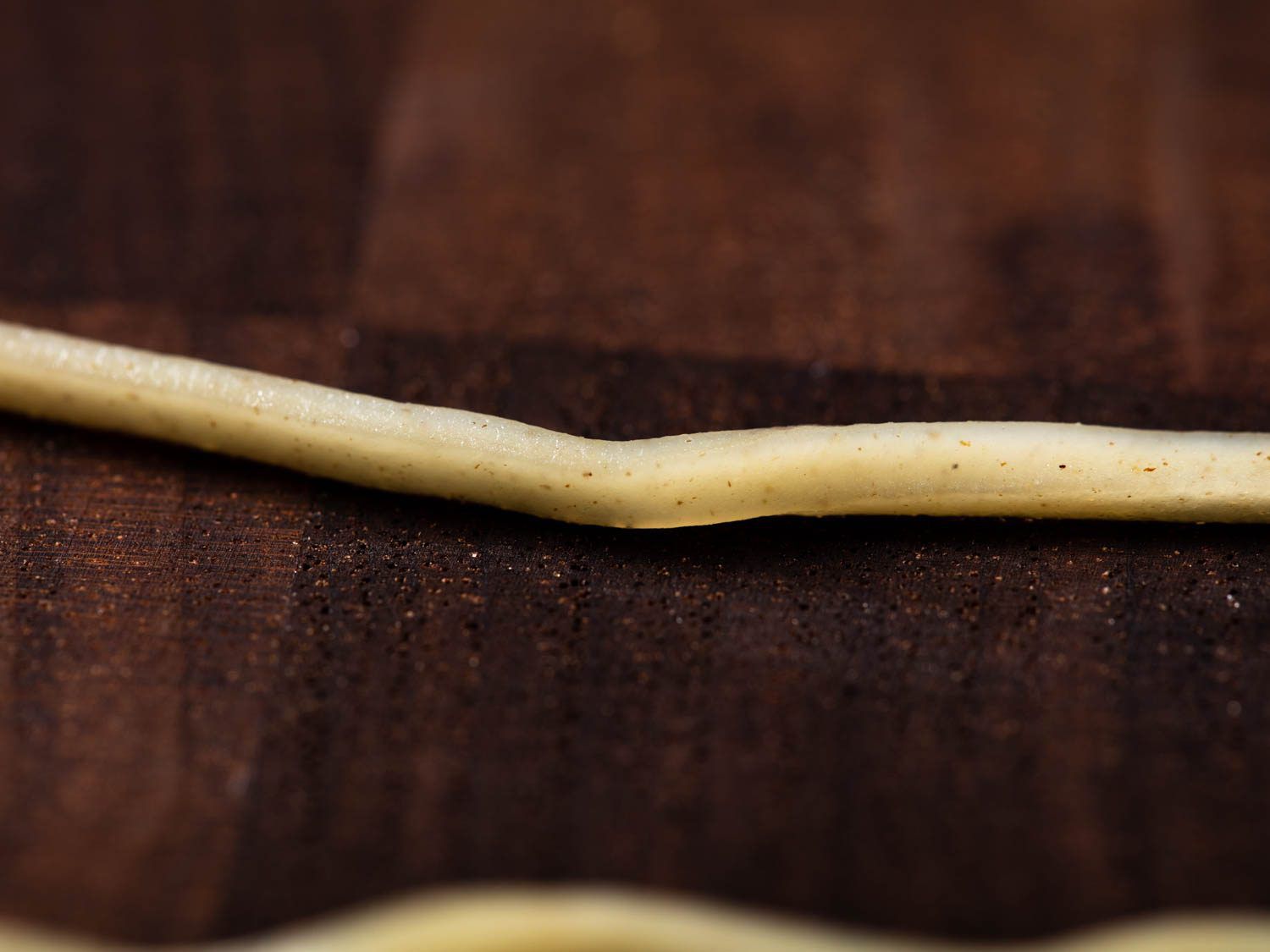Noodle strand with visible flecks of whole wheat germ, due to the inclusion of whole wheat flour in dough