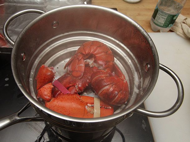 Bright-red steamed lobster parts in steamer basket