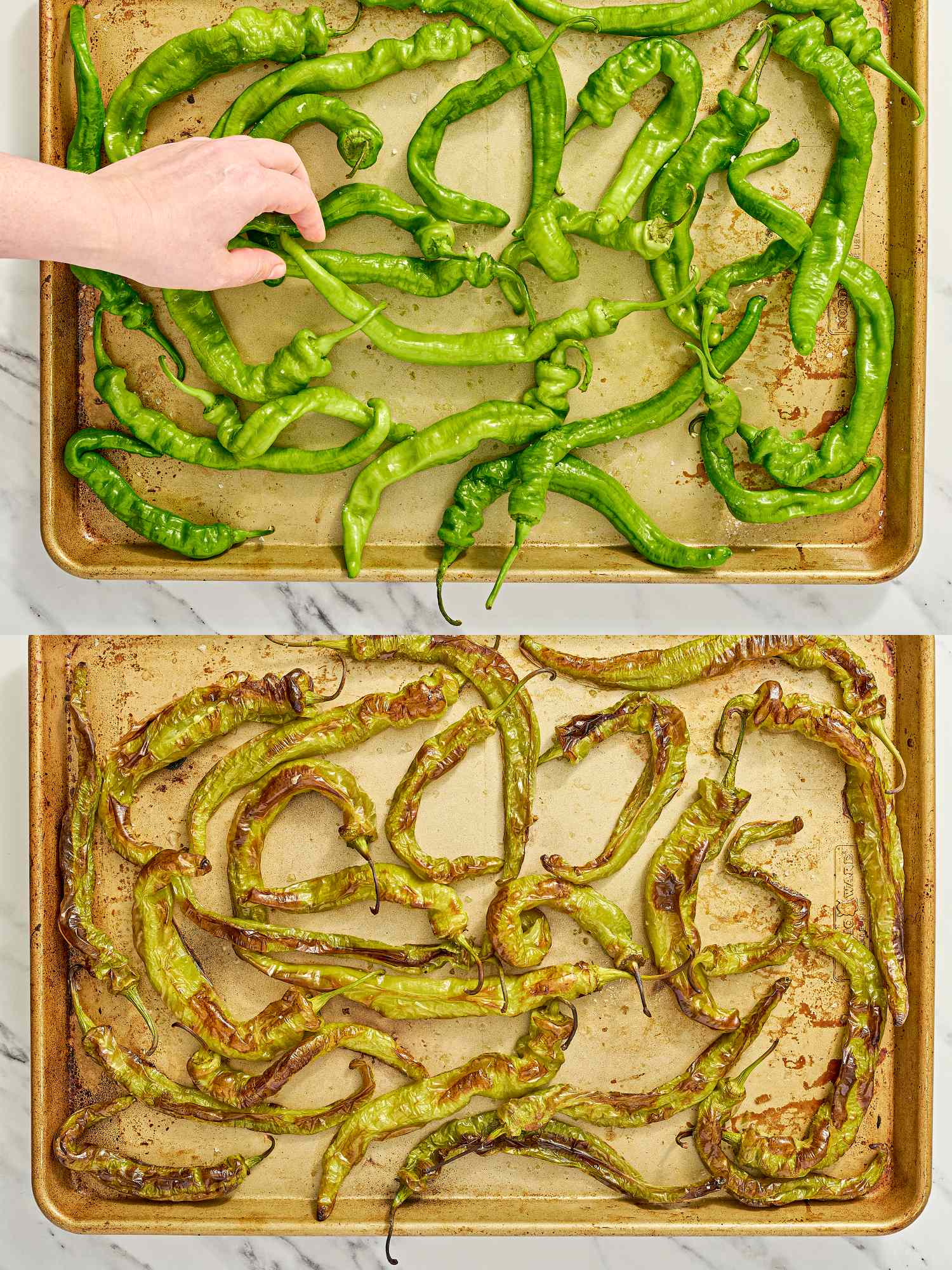 Two baking sheets one with fresh green peppers and the other with roasted peppers