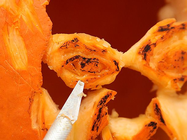 Cutting fine details in the eyes of a face design in a pumpkin, using an X-ACTO knife