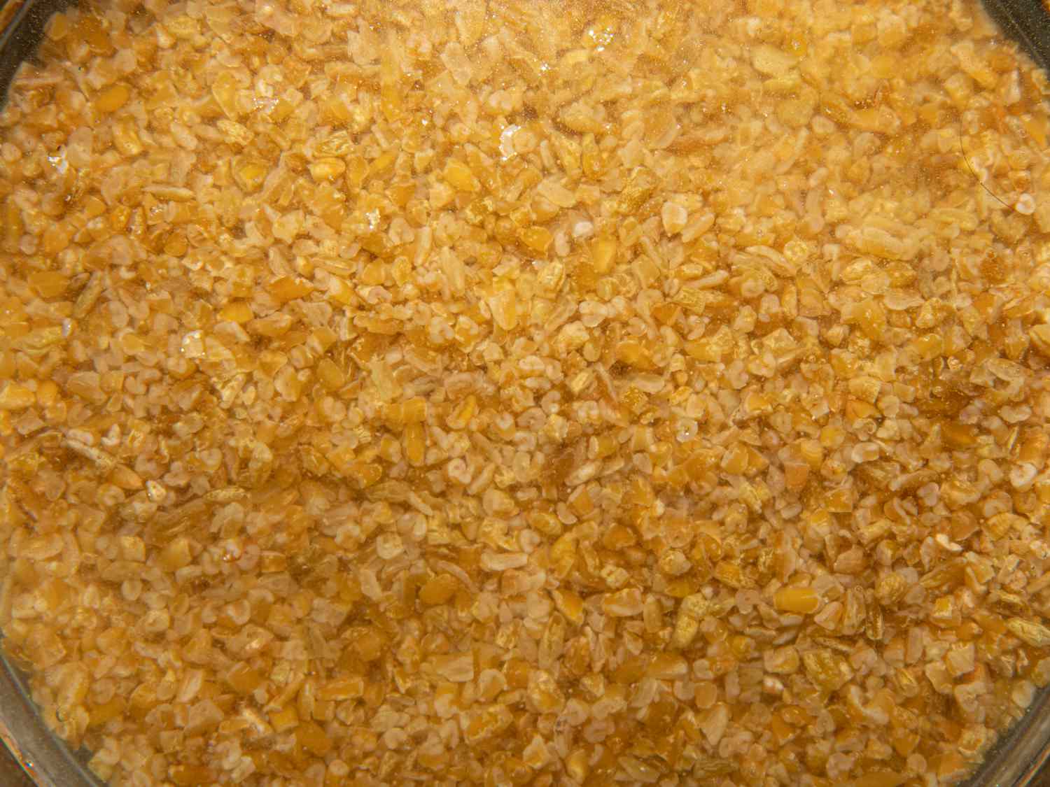 Overhead view of Freekeh in water