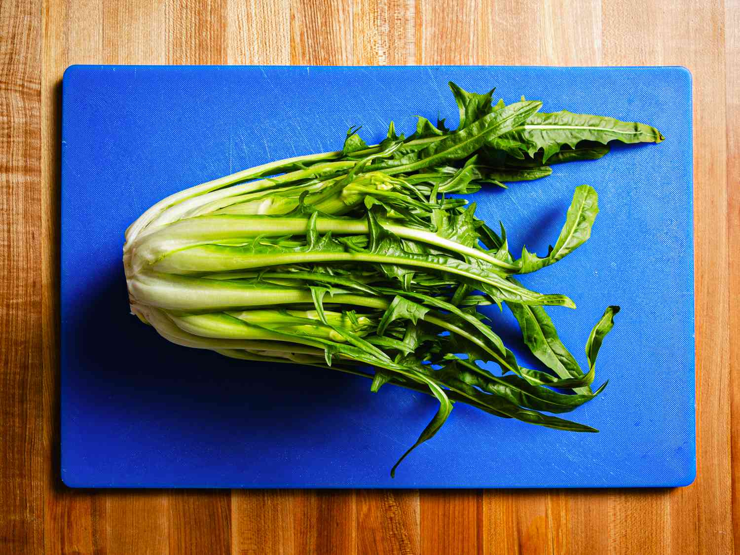 Puntarelle on a blue cutting board