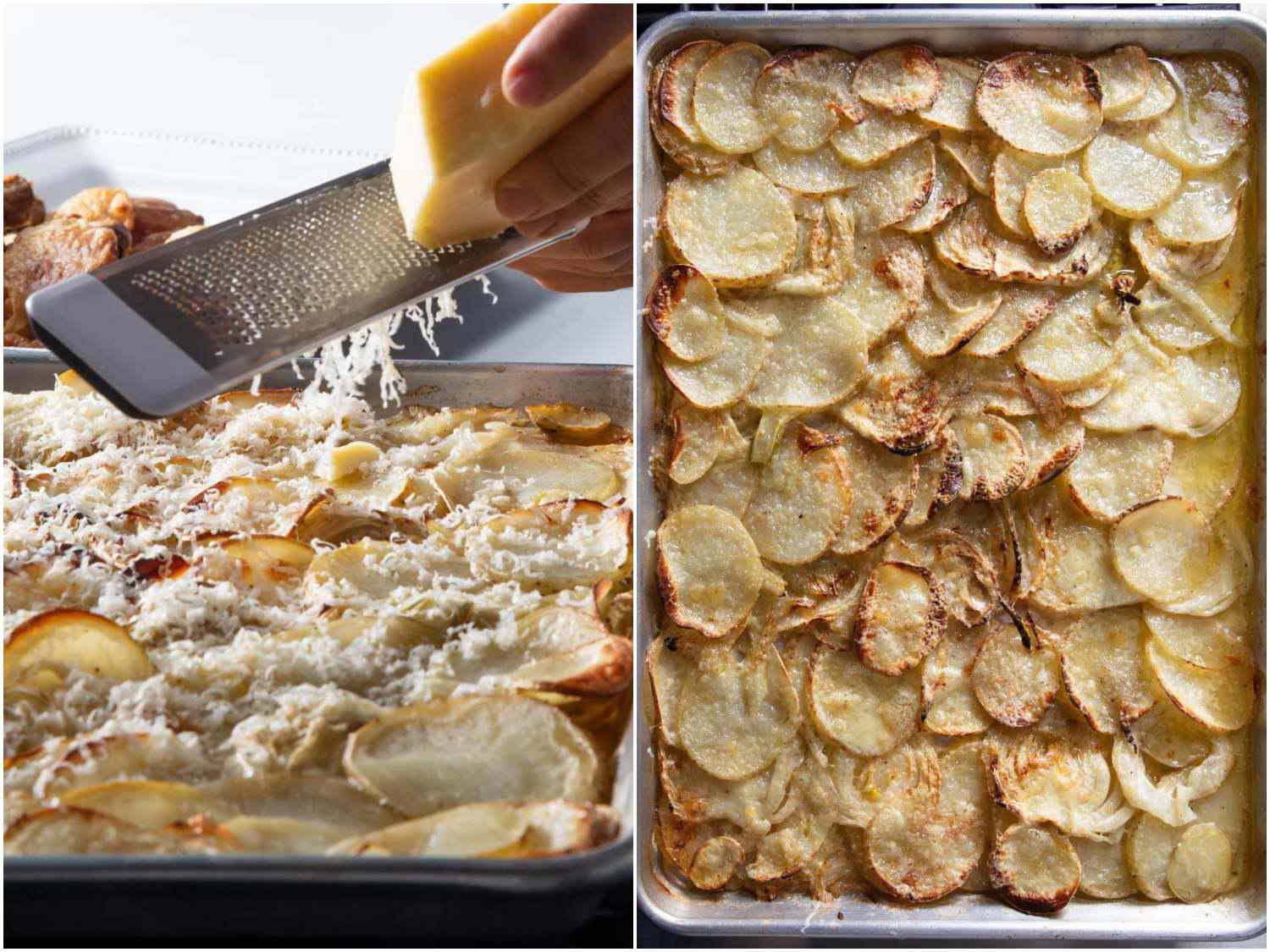 20200102-chicken-potato-fennel-gratin-add-cheese-vicky-wasik